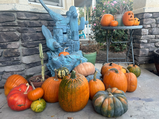 Festive porch pumpkins