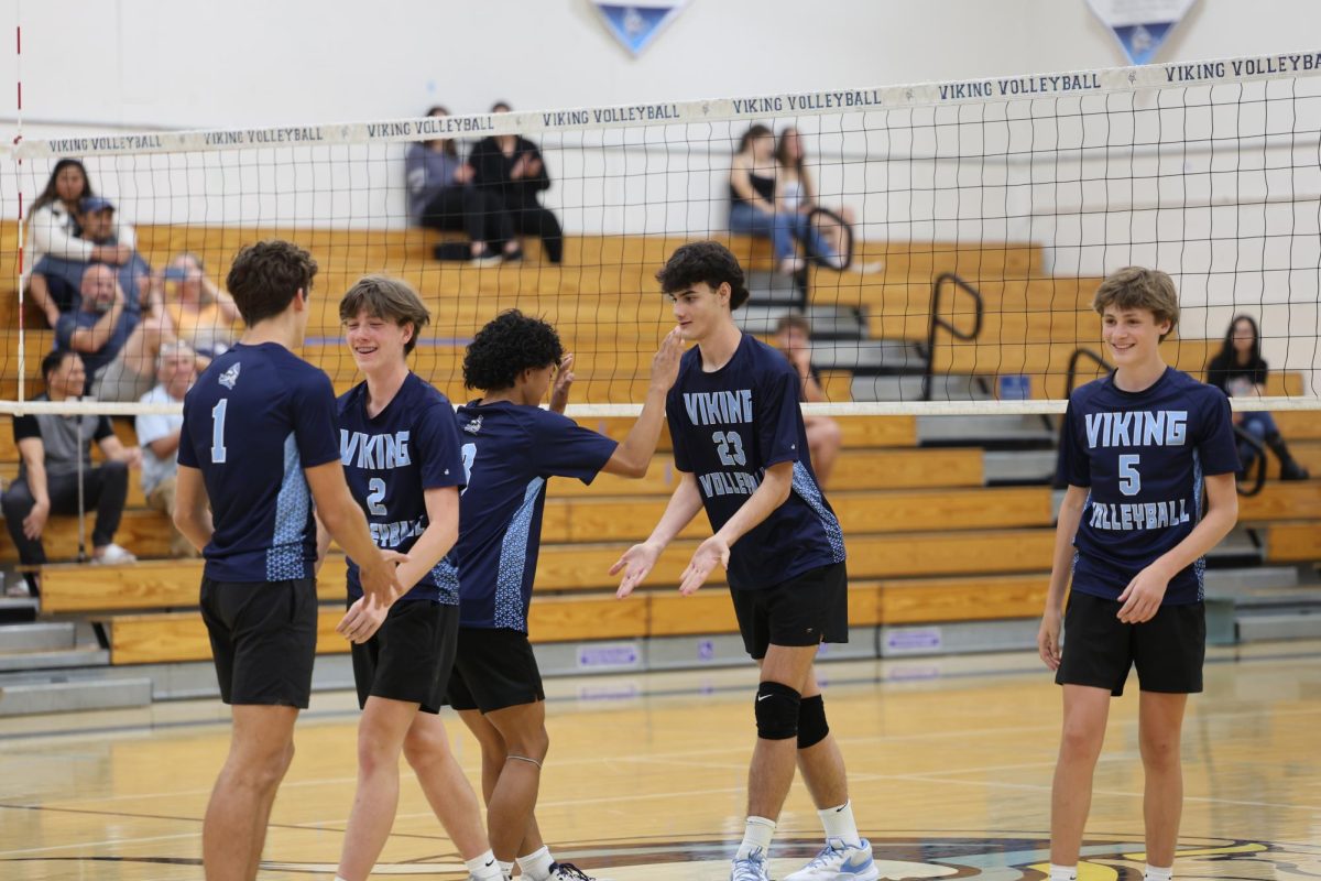 The boys volleyball team celebrates a point together.